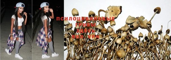 мескалин Майский