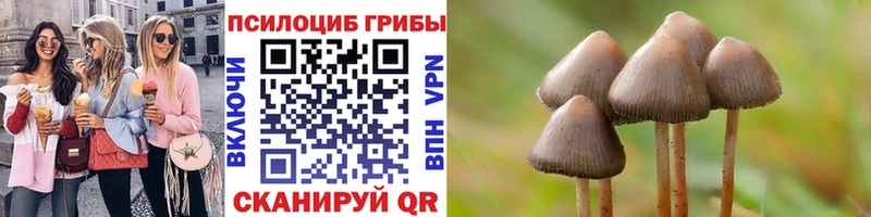 hydra ONION  Миасс  Псилоцибиновые грибы Magic Shrooms  даркнет сайт 