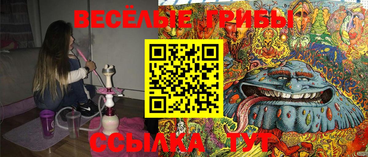 Галлюциногенные грибы MAGIC MUSHROOMS  где можно купить   Псилоцибиновые грибы мицелий  Миасс 