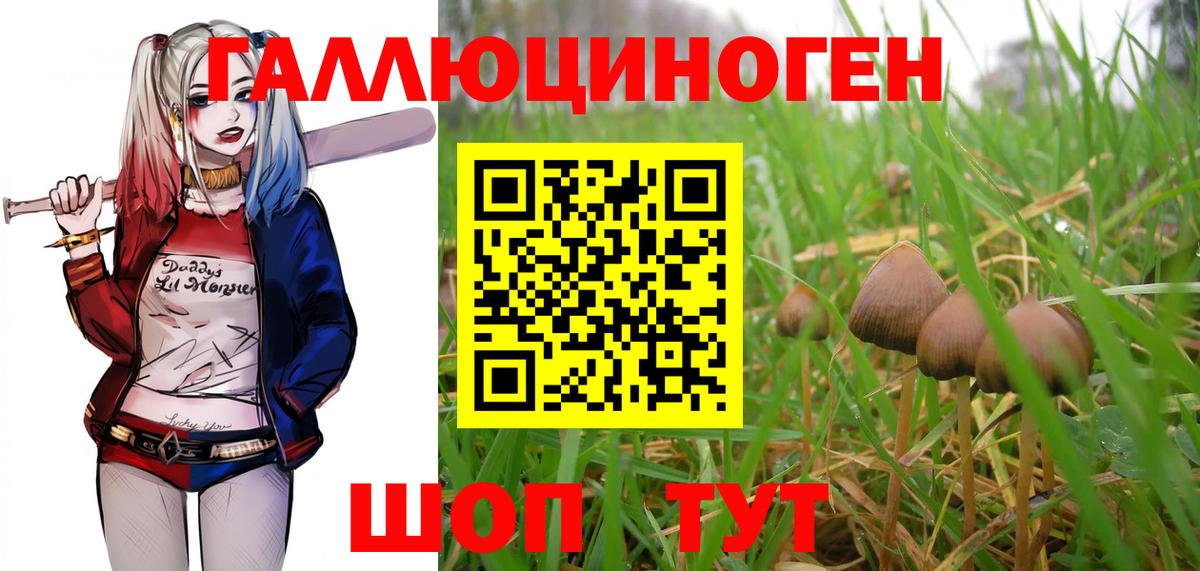 Галлюциногенные грибы прущие грибы Миасс