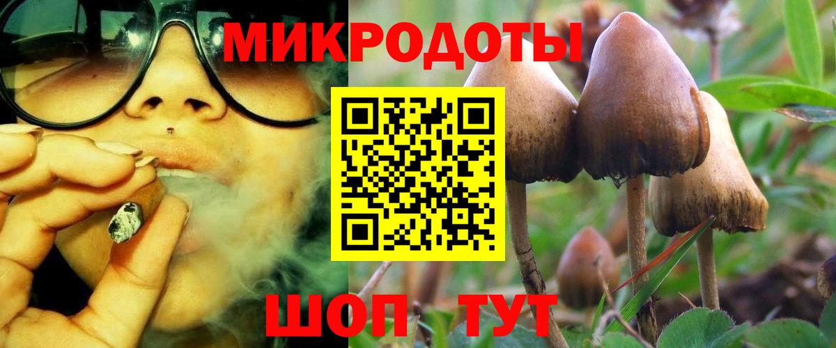 сколько стоит  Вход с VPN  Миасс  Галлюциногенные грибы GOLDEN TEACHER  Псилоцибиновые грибы ЛСД 